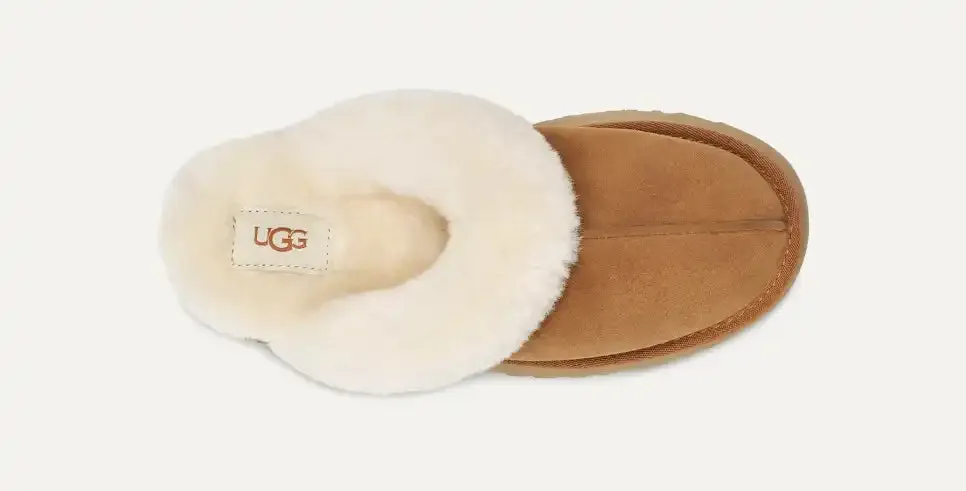 Ugg W Disquette